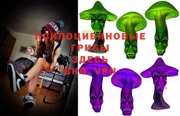 spice Заволжск