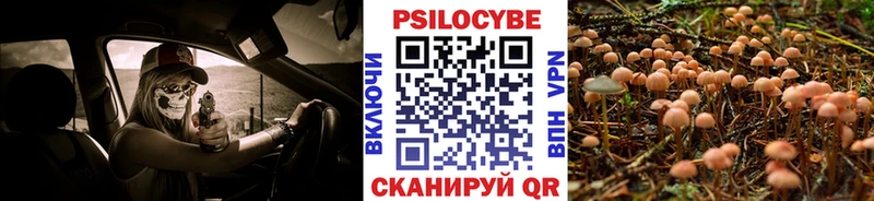 Галлюциногенные грибы MAGIC MUSHROOMS  Купить  Северо-Курильск 